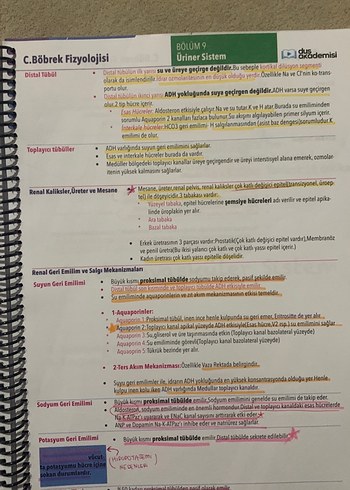 Fizyoloji, Histoloji & Embriyoloji Konu Kitabı - Görsel 4