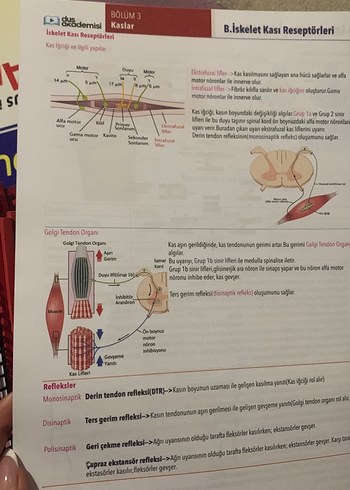 Fizyoloji, Histoloji & Embriyoloji Konu Kitabı - Görsel 2