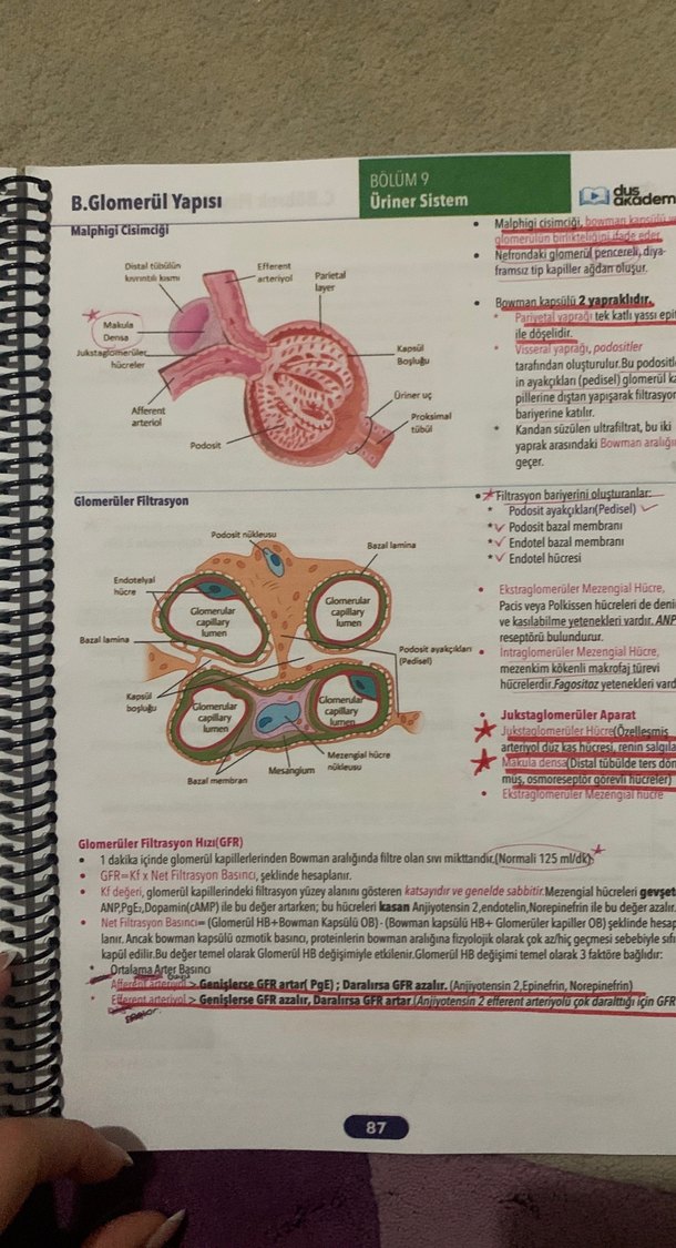 Fizyoloji, Histoloji & Embriyoloji Konu Kitabı - Görsel 3