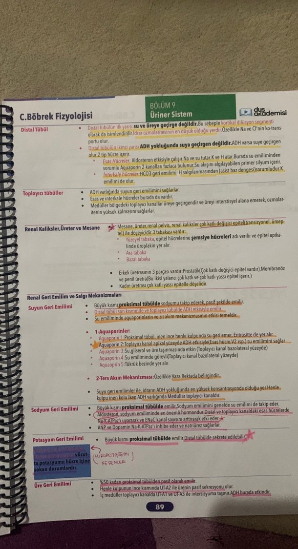 Fizyoloji, Histoloji & Embriyoloji Konu Kitabı - Görsel 4