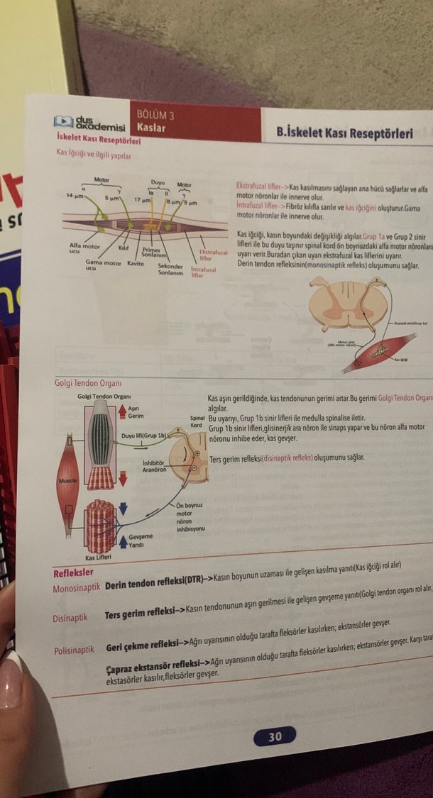 Fizyoloji, Histoloji & Embriyoloji Konu Kitabı - Görsel 2