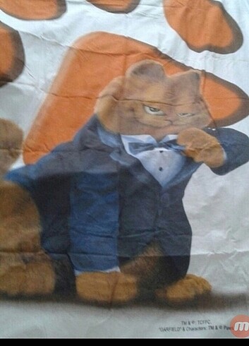 Kedi resimli nevresim 