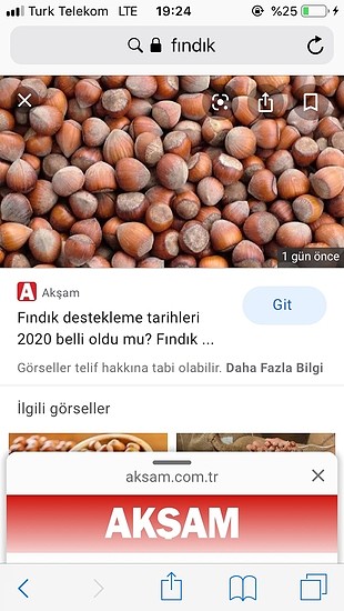 Fındık