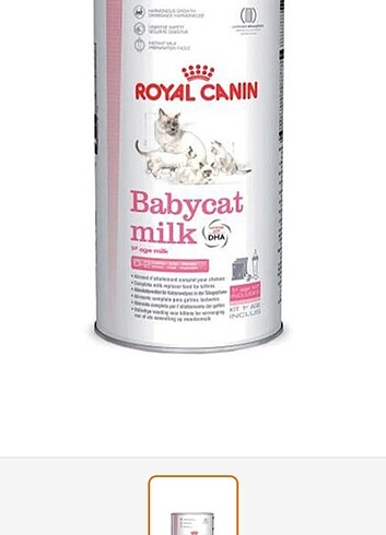 Royal canın süt tozu 