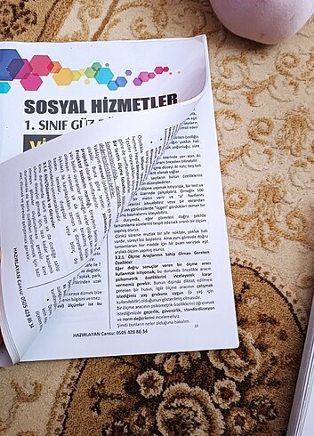  AUZEF sosyal hizmetler 