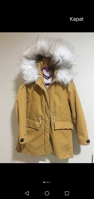 zara mont 
