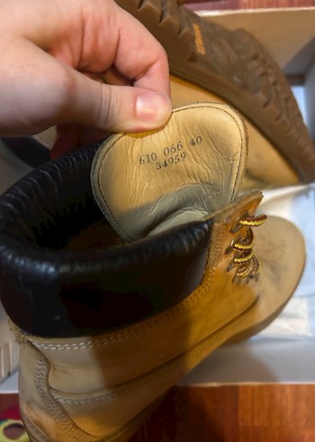 Greyder kahverengi bot - Görsel 3