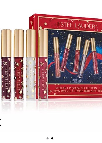 Estee Lauder Estée Lauder Divine Plum Lip Gloss / Parlak Ruj