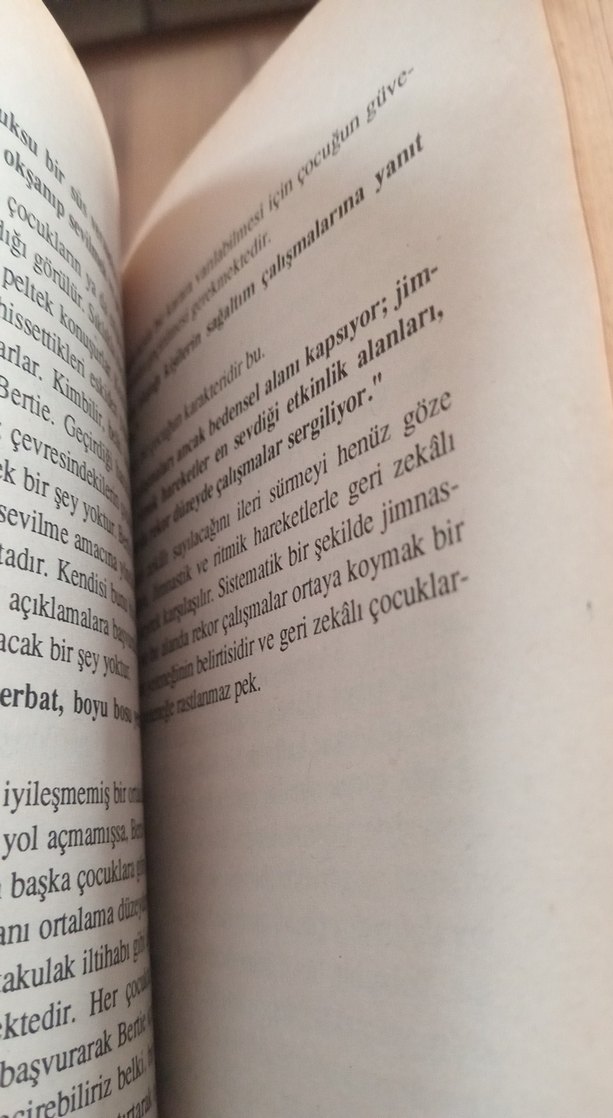 Alfred Adler Sorunlu Okul Çocuğu Kitabı - Görsel 4