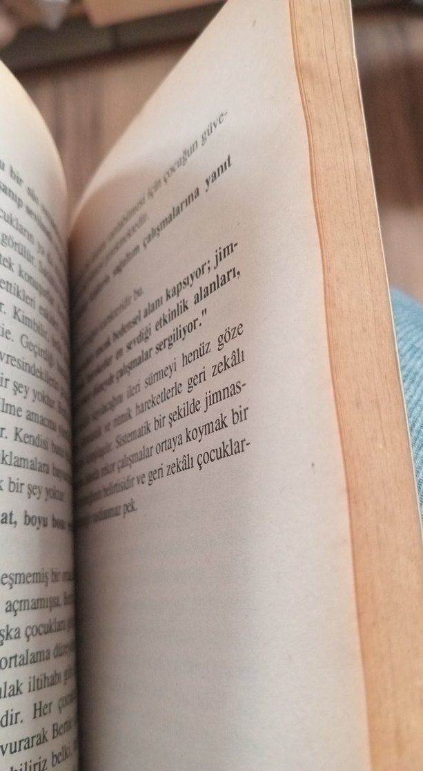 Alfred Adler Sorunlu Okul Çocuğu Kitabı - Görsel 5