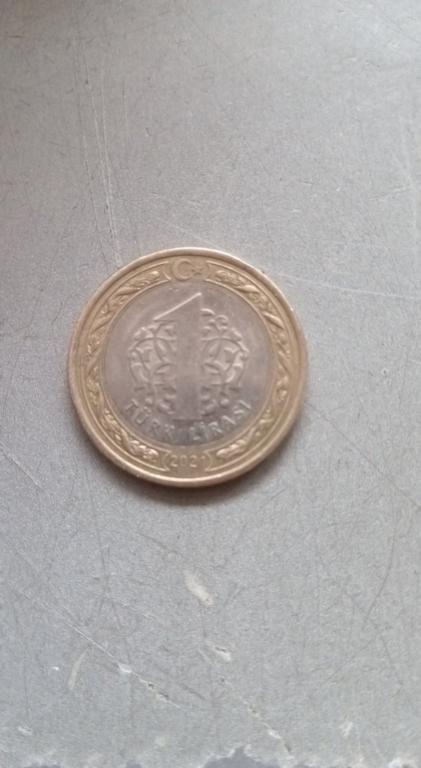 Türkiye Cumhuriyeti Anma Madalyonu - Görsel 2