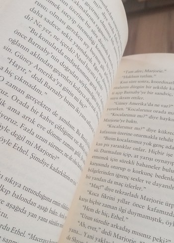 Yanlışlıkla Dünyanın Öbür Ucuna Uçan Çocuk - Görsel 5