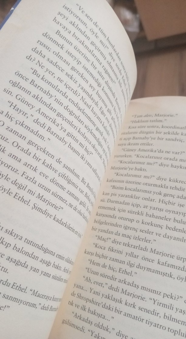 Yanlışlıkla Dünyanın Öbür Ucuna Uçan Çocuk - Görsel 5