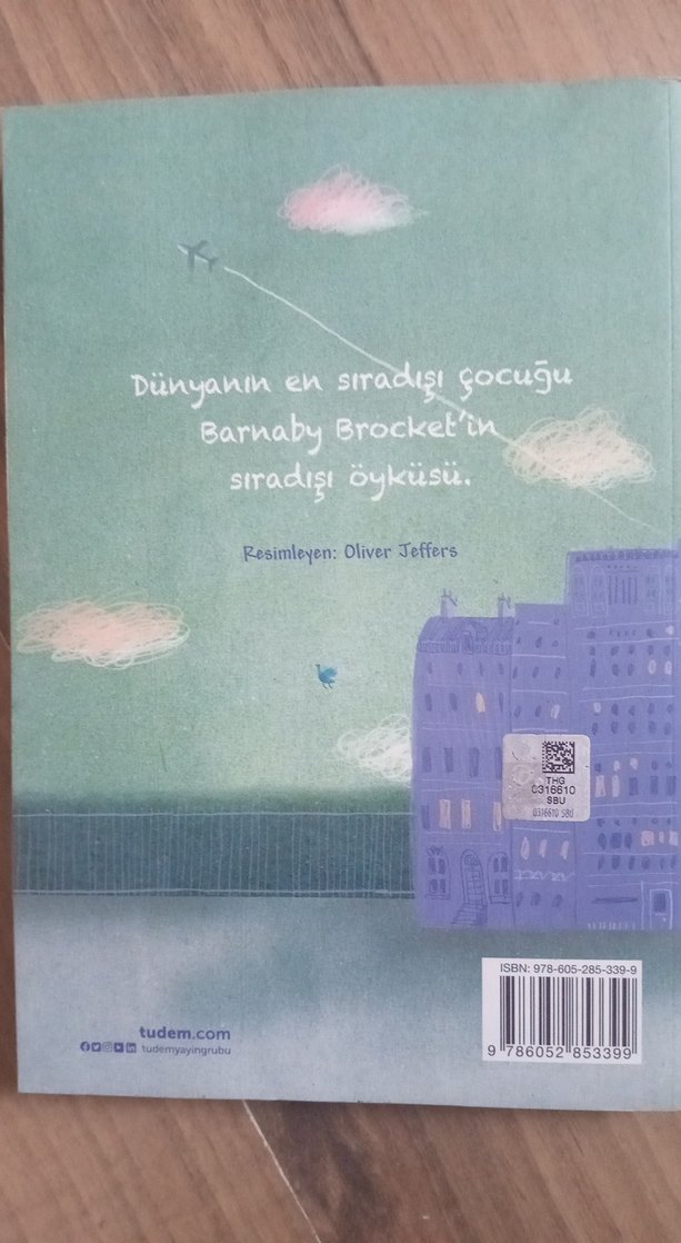 Yanlışlıkla Dünyanın Öbür Ucuna Uçan Çocuk - Görsel 2