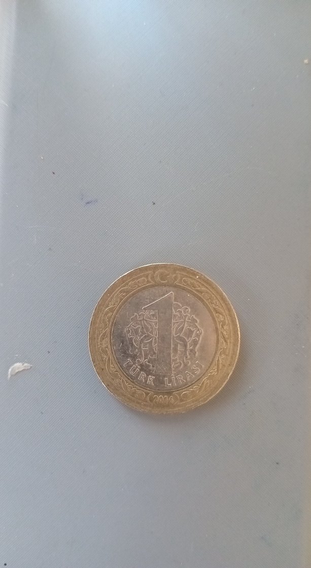 Altın Renkli Erkek Rozeti - Görsel 2