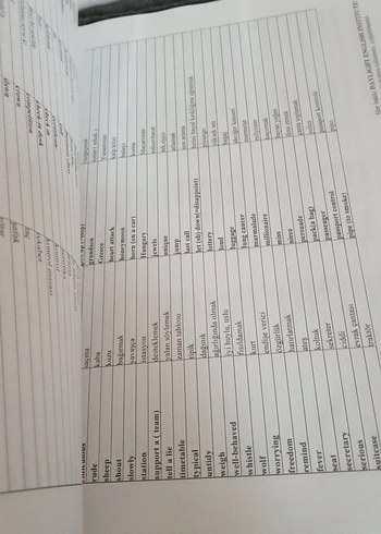 Daylight İngilizce Kelime Kitabı - Görsel 8