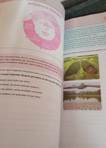 LGS Paragraf Hızlı Okuma Teknikleri Kitabı - Görsel 14