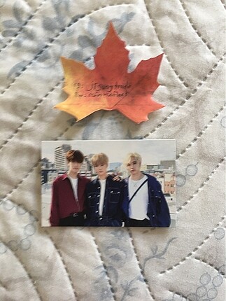 Stray Kids pc