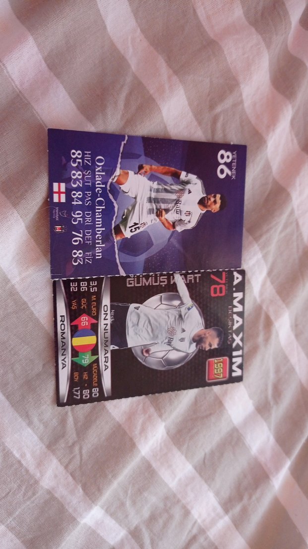 Beşiktaş oyuncularının futbol kartları - Görsel 2