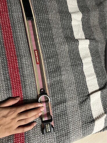 Ezydog tasma - Görsel 2