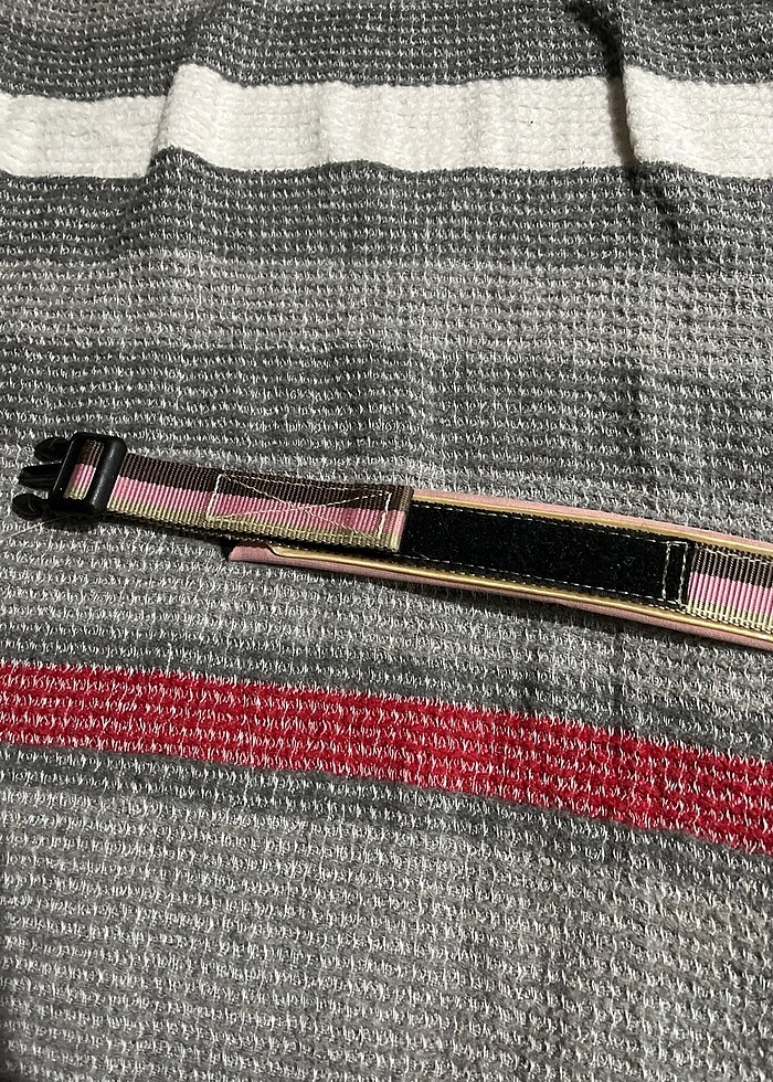 Ezydog tasma - Görsel 3