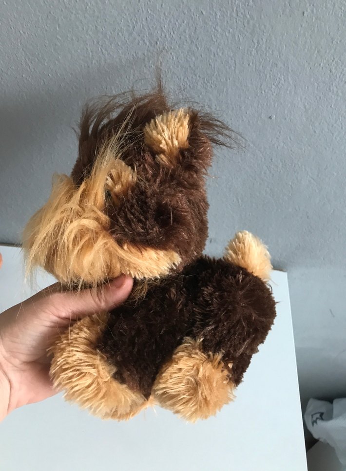 Tüylü sesli köpek - Görsel 2