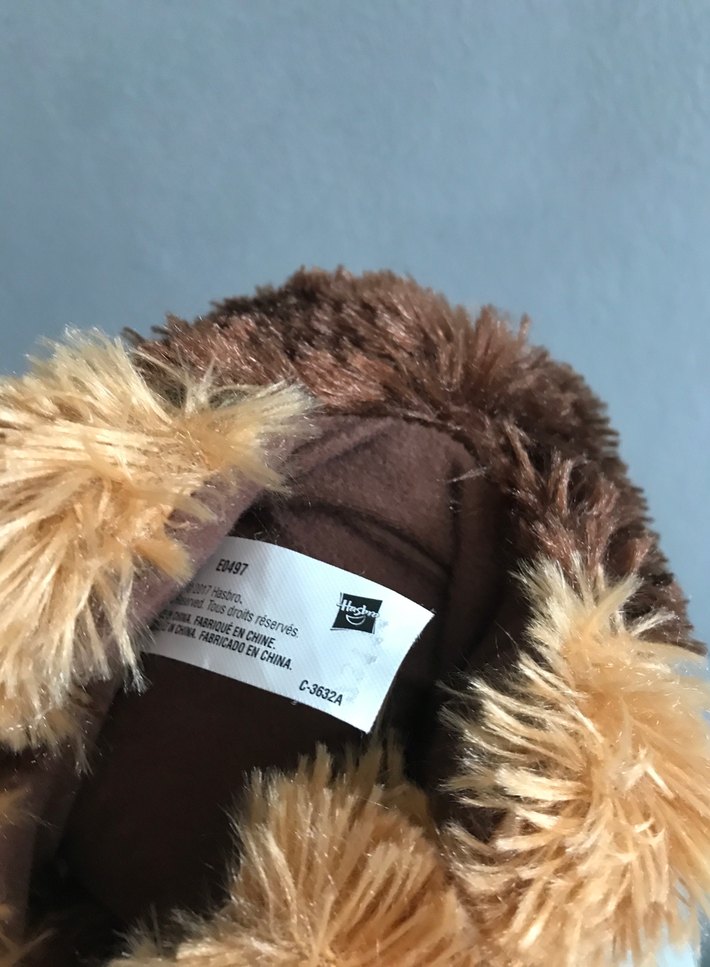 Tüylü sesli köpek - Görsel 3