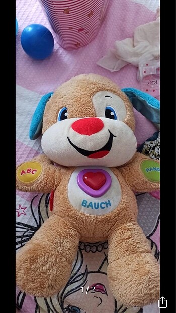 Eğitici köpekçik
