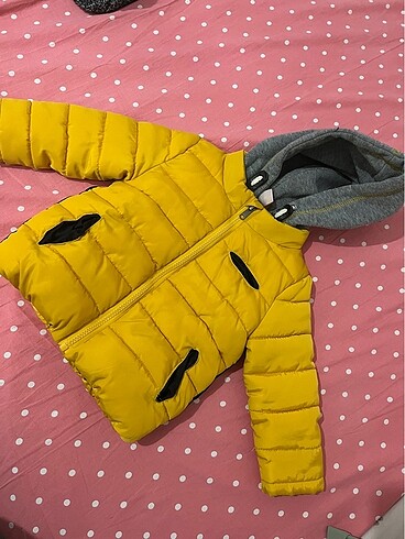 Koton mont