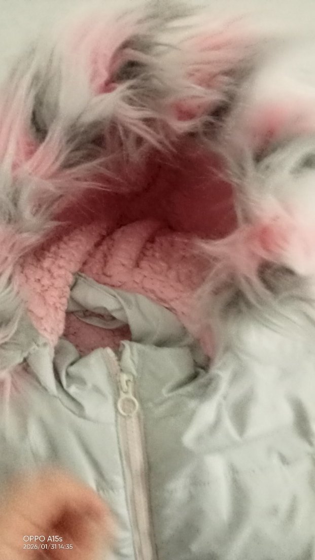 Kız Çocuk Gri Kapüşonlu Kürklü Mont - Görsel 4