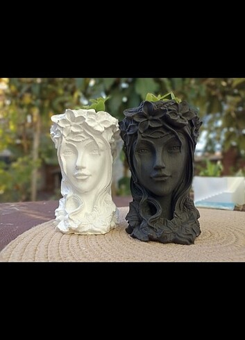 Medusa saksı bir adet