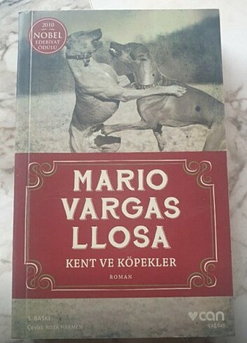Kent Ve Köpekler