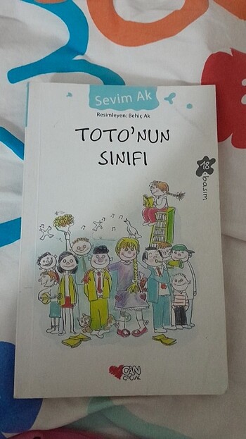 Totonun sınıfı