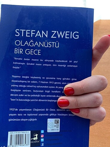 Beden Renk Olağanüstü Bir Gece-Stefan Zweig