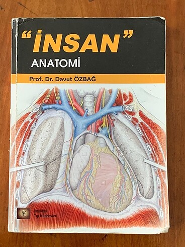 İnsan Anatomi-Davut Özbağ