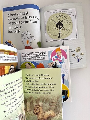 Beden Renk 3 adet kitap.