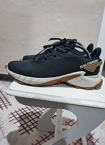 Salomon Alpha cross 4 