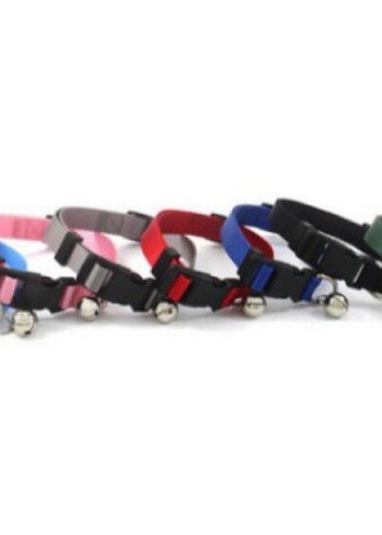 Renkli zilli Kedi Tasması Seti - Görsel 2