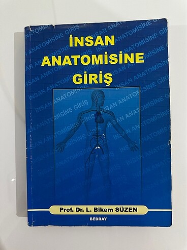 İnsan anatomisine giriş