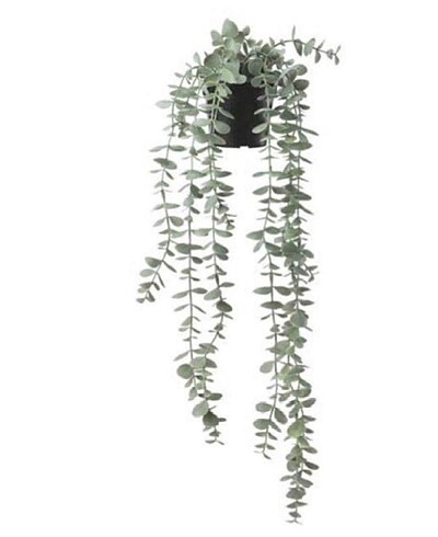 #ikea yapay bitki, okaliptüs
