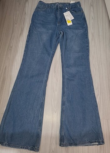Kot Jean 