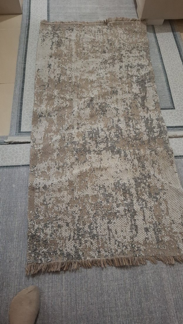 Bej ve Gri Yılan Desenli Modern Halı - Görsel 2