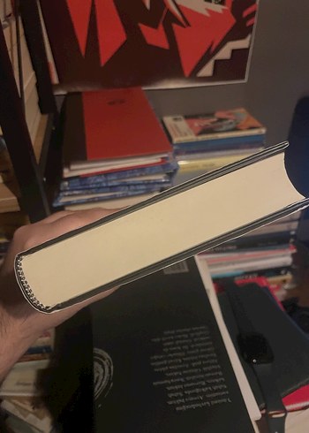 Josh Malerman, Bird Box - Almanca Roman - Görsel 4