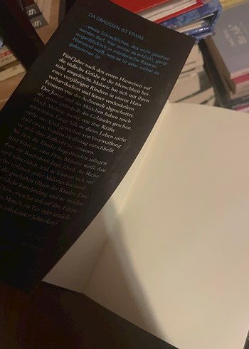 Josh Malerman, Bird Box - Almanca Roman - Görsel 5