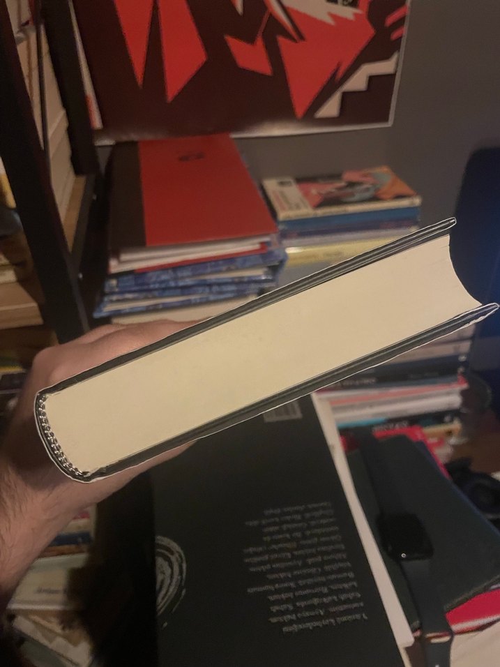 Josh Malerman, Bird Box - Almanca Roman - Görsel 4