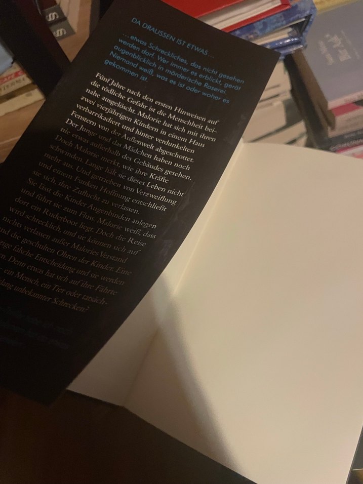 Josh Malerman, Bird Box - Almanca Roman - Görsel 5