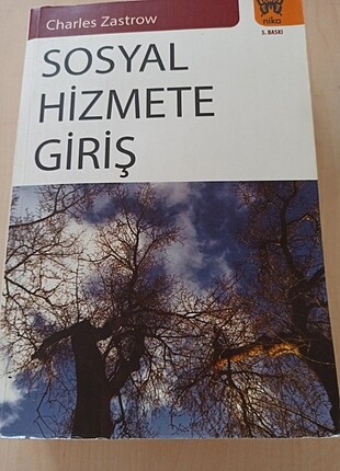 Sosyal hizmete giriş 