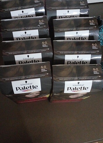 Schwarzkopf Palette 6.0