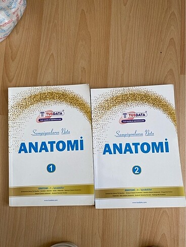 Tusdata anatomi