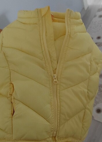 Koton mont